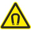 Знак W13 Магнитное поле (пленка 200х200 мм)